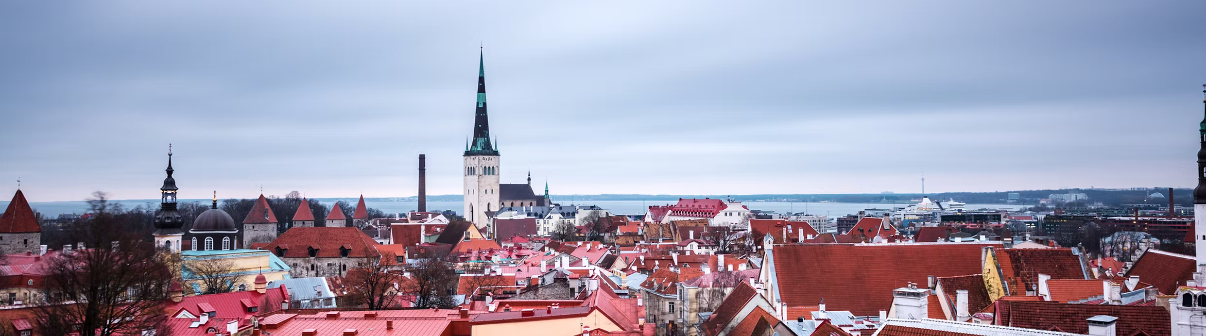 Nordic Summer School